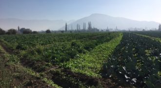 Espectacular Terreno en Sector O’Higgins.